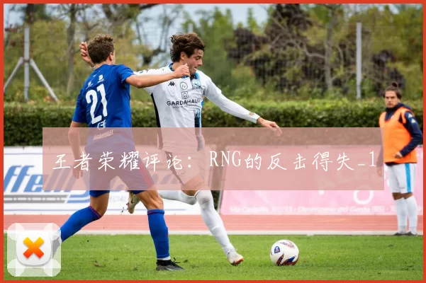 王者荣耀评论：RNG的反击得失_1