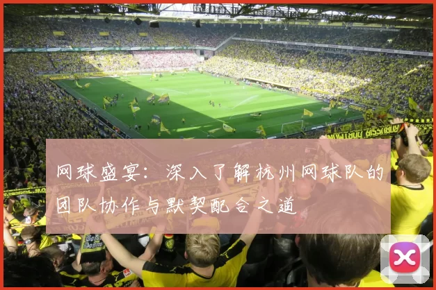 网球盛宴：深入了解杭州网球队的团队协作与默契配合之道